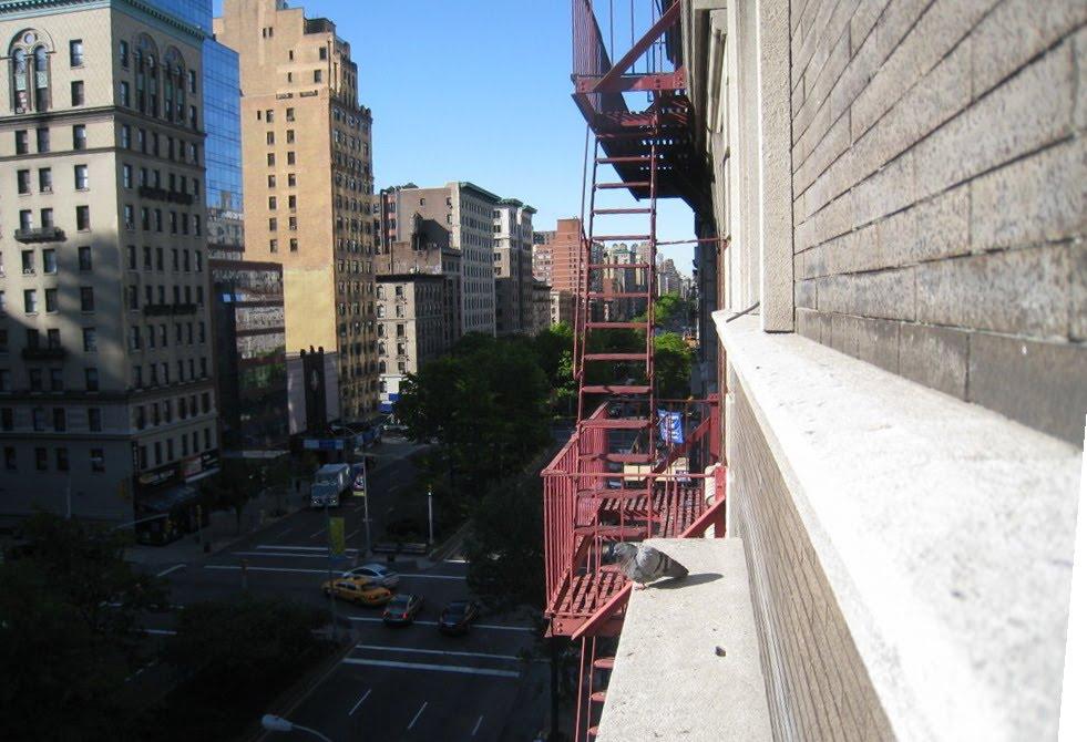 New York Best Restaurants Near Broadway New York Best Restaurants Near Broadway